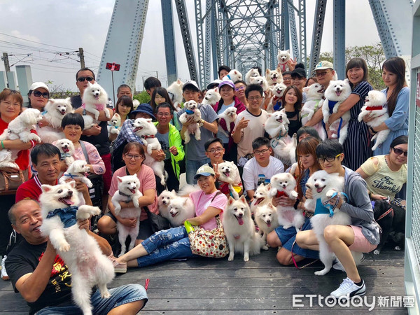 ▲▼一半都領養的！45隻汪搭遊覽車出去玩　下車整團狗驚呆路人。（圖／網友李品瑩授權提供）