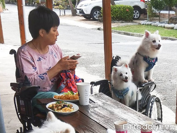  ▲▼一半都領養的！45隻汪搭遊覽車出去玩　下車整團狗驚呆路人。（圖／網友李品瑩授權提供）