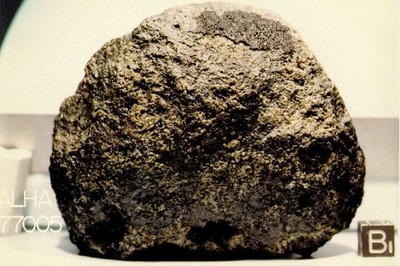 火星上真有生命？　第二顆隕石被確認含「微生物痕跡」