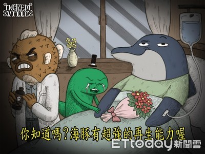 海豚神奇自癒術!化合物助傷口復原 受傷皮膚恢復光滑