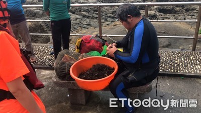 影/潛客想賺外快!「瑞芳保育區」違規抓龍蝦1隻、海膽50顆 最高罰15萬元