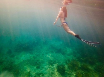 「比基尼人魚」現蹤！犯規翹臀+C級頭燈超邪惡…海中踢水深潛