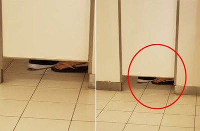 微風廣場男廁驚見「四腳獸」！兩隻緊貼不放　他忍尿全程猛盯門縫…看嗨了