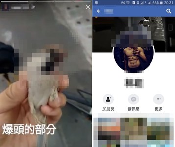 惡男血腥射殺小鳥！炫爆頭戰果「威力有點小…」　網肉搜灌爆他臉書