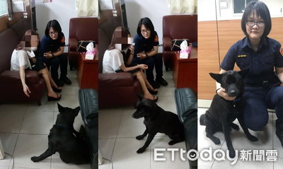 白皙少婦想跳八斗子！警犬「皮皮」看到了狂撒嬌結局曝　網：開罐罐加菜