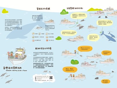 海保署推「夏日鯨喜指南」　看海豚「擠船頭開心衝浪」