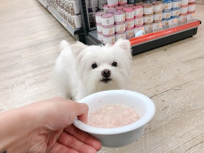 鮮食烹飪開課囉！　周末來跟營養師學做「寵物鮮食」吧！