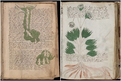 最神秘「伏尼契手稿」破解了！　揭失落500年「占星性愛」秘密