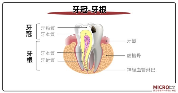 醫師解析抽神經。（圖／張添皓醫師提供）