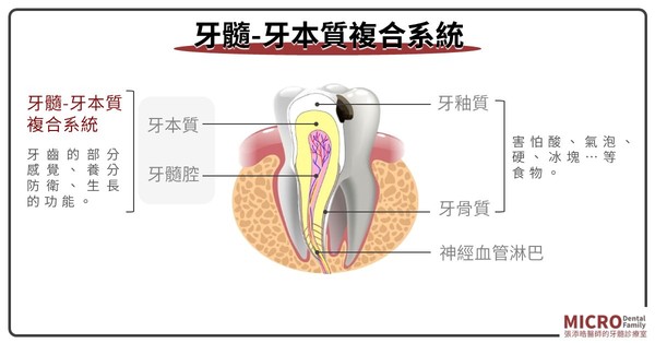 醫師解析抽神經。（圖／張添皓醫師提供）