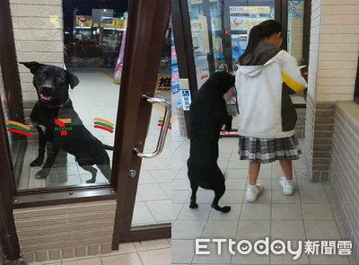 下班了嗎？黑萌犬等店員餵罐罐　還搭訕小姐姐搶便當吃