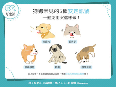 哈欠=對不起!汪汪5種「肢體語言」大解析 ... 主人你讀懂了嗎?