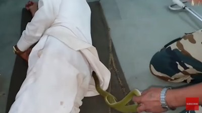 目睹毒蛇鑽進他內衣裡嚇壞! 專家驚險抓蛇命大男全程睡死