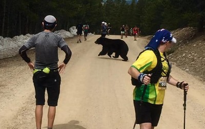 黑熊亂入馬拉松一起跑　跑者嚇到不敢動：最慢的人小心被吃