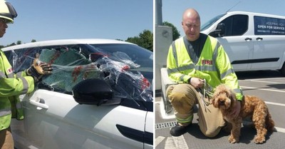 熱浪來襲！汪在沸騰汽車裡叫不出聲　最後一秒驚險獲救