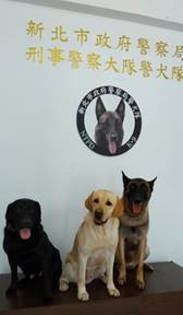 警犬秒跳診療台，讓獸醫全身檢查。（圖／新北市動保處提供）