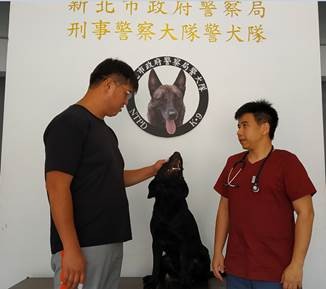 警犬秒跳診療台，讓獸醫全身檢查。（圖／新北市動保處提供）