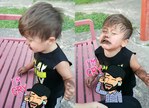 ▲▼弟弟溜滑梯「被狗蓋火鍋」趴地吃土　萬人嘴角失守：WWE？（圖／翻攝自Martin Muro臉書）