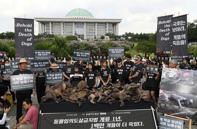 南韓動保團體抗議陋習　狗農「當街大啖狗肉」反嗆：別斷我生計