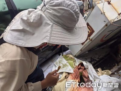 台南市本土及境外移入登革熱病例各新增1例 請市民共同落實孳生源清除
