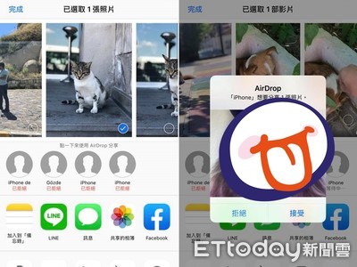 搭飛機用AirDrop傳貓圖　他收到「鬍子老外」媚眼照電翻