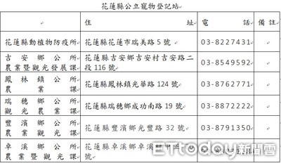 竉物植晶片愛心有保障！花蓮首推寵物登記免費　飼主現省1千3