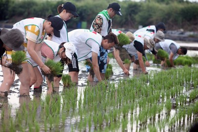 信義房屋志工種下愛心稻穀　後壁嘉田社區粒粒皆幸福