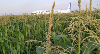 乘載233人客機起飛就遭鳥擊　迫降玉米田23名受傷