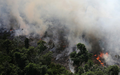 巴西總統頒「全國禁燒令」　救亞馬遜雨林大火