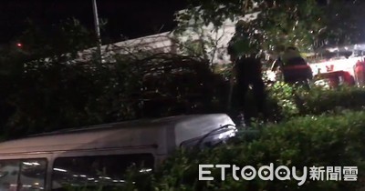影/松山區航警前大樹不敵白鹿暴吹 樹幹斷裂倒壓2車頂