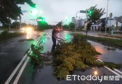 白鹿吹倒路樹阻通行 善警不畏風雨排除路面障礙物