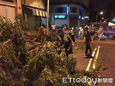 「白鹿」來襲吹倒路樹橫倒 警民冒雨合力移除路障「揪感心」