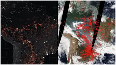 亞馬遜野火狂燒　NASA公布衛星圖「噁心密集紅點」覆蓋一半地球之肺！