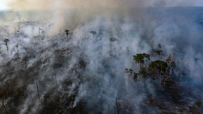 亞馬遜野火每分鐘毀三個足球場　非洲安哥拉三倍火同時燒「整片紅」