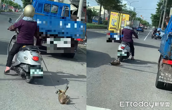  ▲▼彰化紫衣嬤騎車拖狗！約克夏狂奔20公尺痛苦翻肚　家人回應了。（圖／網友提供）