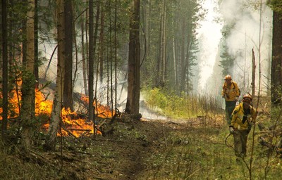 西伯利亞24小時超過「97次野火」　燒毀40萬公頃林地
