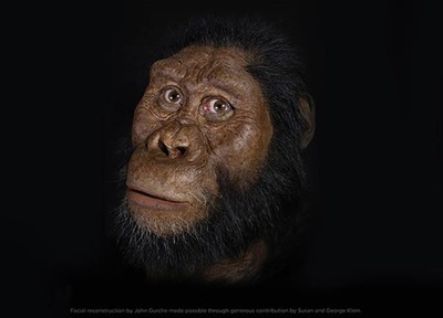 露西的祖先找到了　380萬年前原始人面貌長這樣