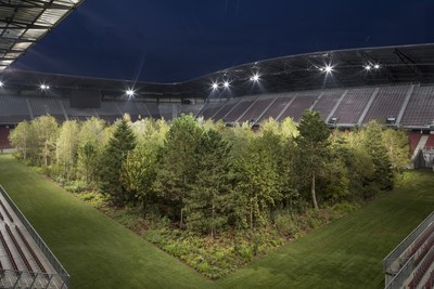 足球場變一片森林？藝術家打造最大裝置藝術　警惕「有天只能在博物館看樹」