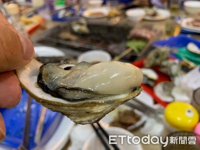 500元有找!高雄海鮮控快來 澎湖超肥美鮮蚵、小卷任你吃到飽