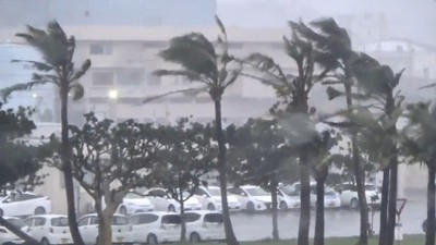 塔巴颱風帶暴風！沖繩路樹倒、建築塌　釀12輕重傷、近3.9萬戶停電
