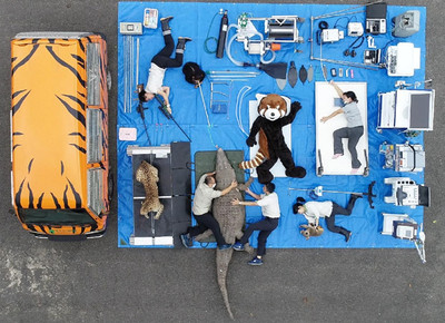 動物園行動醫療車開箱！　2保育員趴地「抱緊鱷魚」萌炸