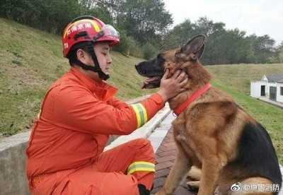 川震最後搜救犬「沈虎」離世　領犬員請求「帶狗退伍」疼到最後