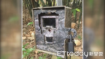 石虎監測相機大盜落網！　「連偷38台」拒吐露作案動機