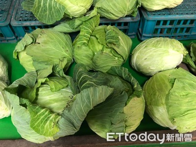 高麗菜怎麼炒才好吃？老饕曝「2大關鍵」提醒：一堆人煮錯
