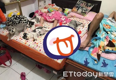 床上2人4狗躺滿滿！媽哀怨畫「能睡的地方」：今天又搶輸了...