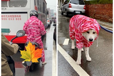 騎車發現路人和愛犬「有一腿」！　同款「情侶雨衣」網笑噴：地下情