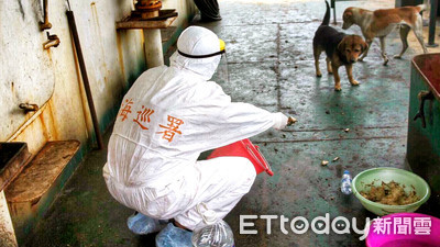 陸船盜砂28船員收押　遺留「2隻汪」餓到哭…海巡伸援手暫餵養