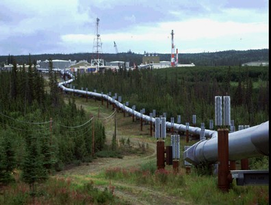 真的開放挖石油！　川普政府出租北極阿拉斯加160萬公頃土地