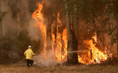 野火侵襲世界遺產　大藍山區20%被破壞！生態學家痛心：絕對的危機