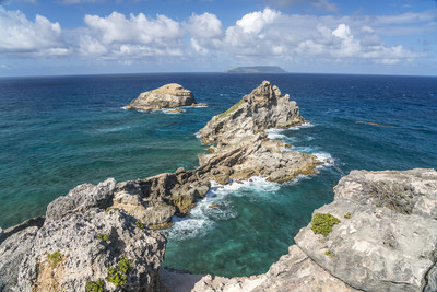 加勒比海「石化罕病」波及1000公里珊瑚礁群　最快5年生態系統崩塌